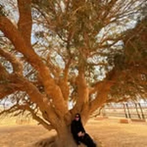@mom_ayting92_ profile image