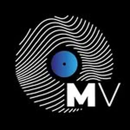 @mundo.vinyl profile image
