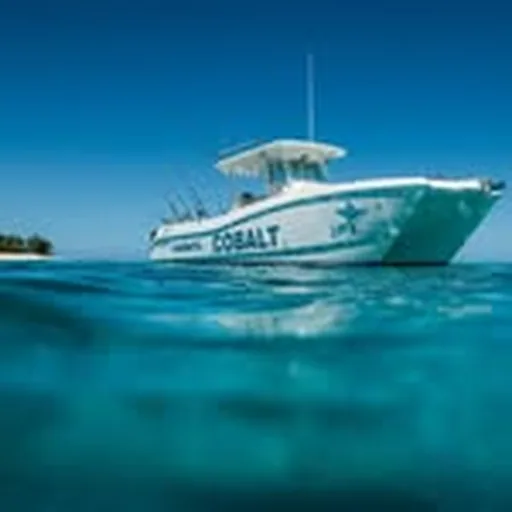 @namotufishing profile image
