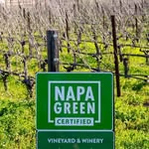 @napagreen profile image