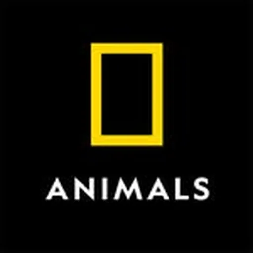 @natgeoanimals profile image