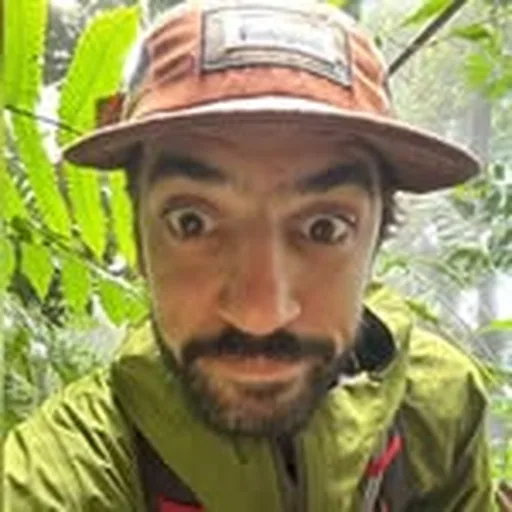 @nichfarah profile image