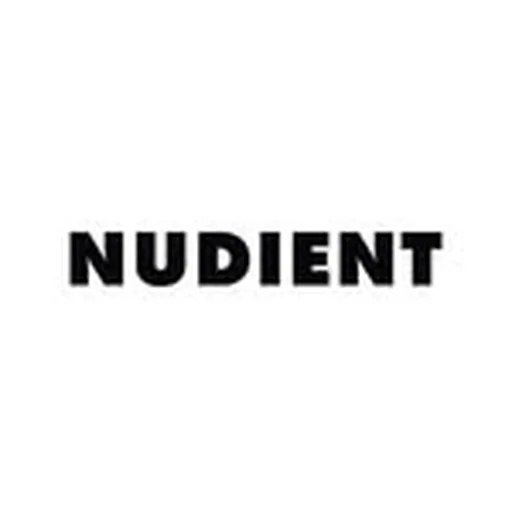 @nudient profile image