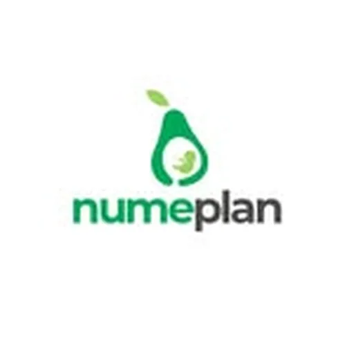 @numeplan profile image