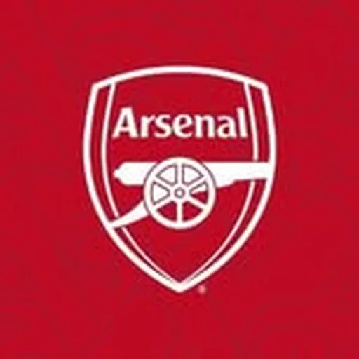 @officialarsenalacademy profile image