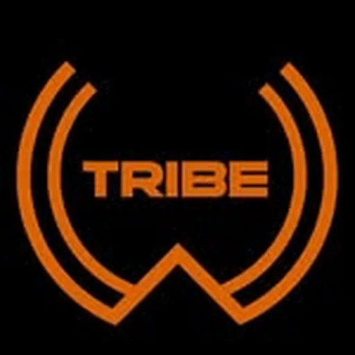 @onewanderingtribe profile image
