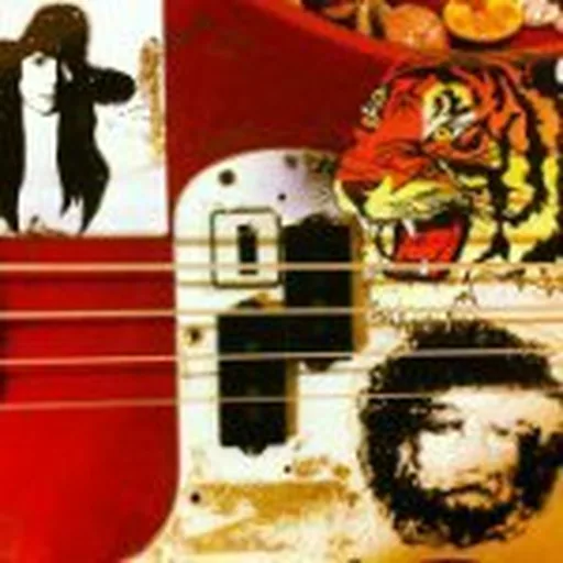 @orang3fsu profile image