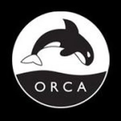 @orcabook profile image