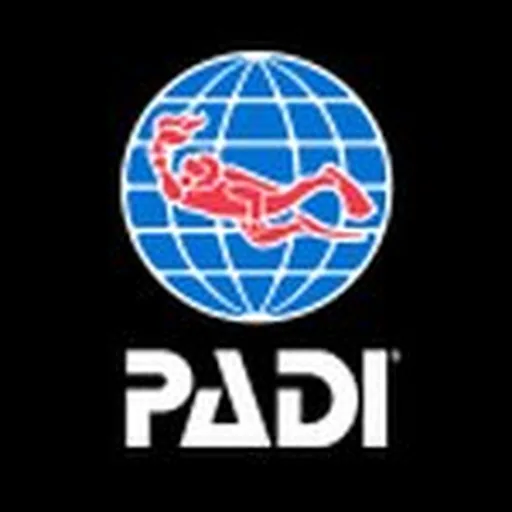 @paditv profile image