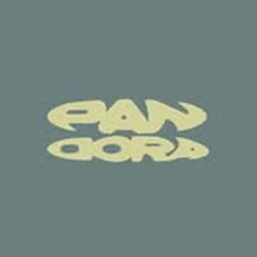 @pandora.festival.za profile image