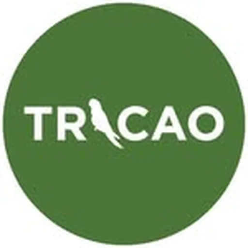 @parquetricao profile image