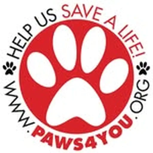 @paws4you profile image