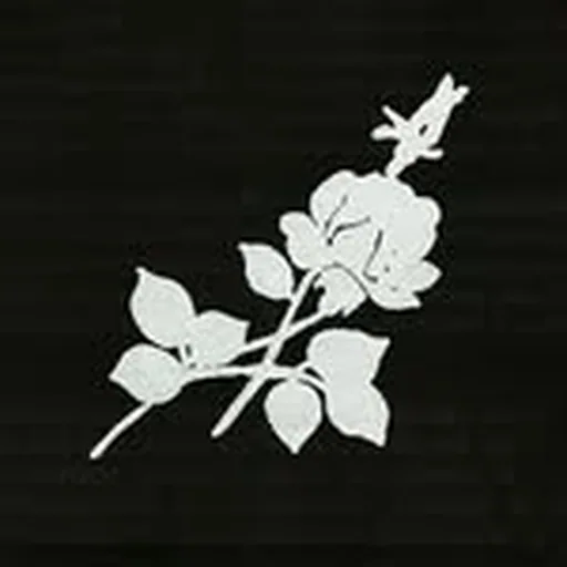 @perversapress profile image