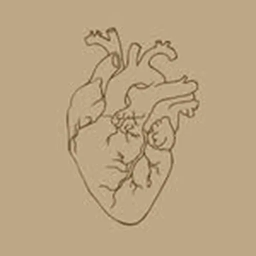 @poesiasns profile image
