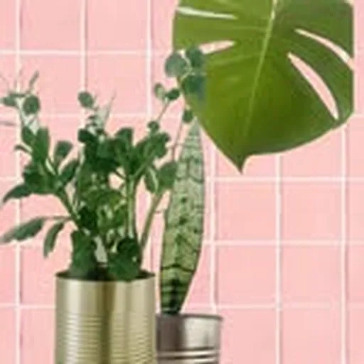 @popxplants_ profile image