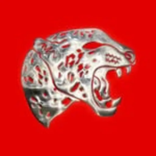 @quetarojas profile image