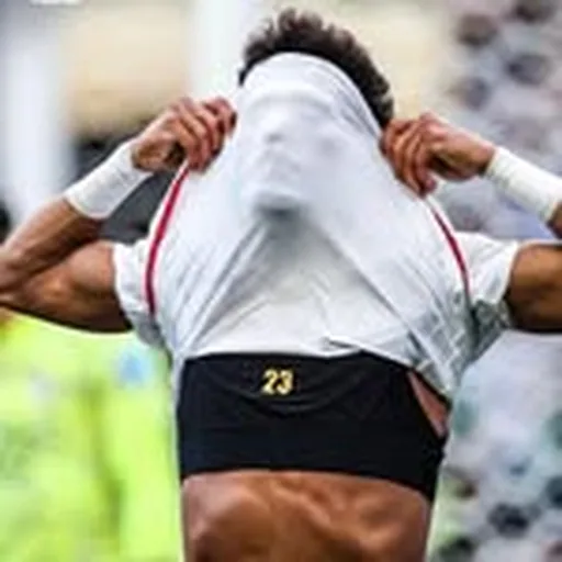 @raminrezaeian profile image