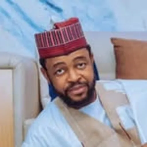 @realsanidanja profile image