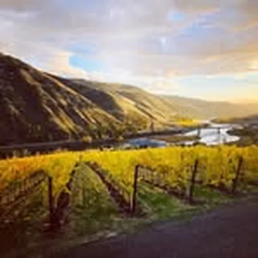 @rivaura_wine profile image