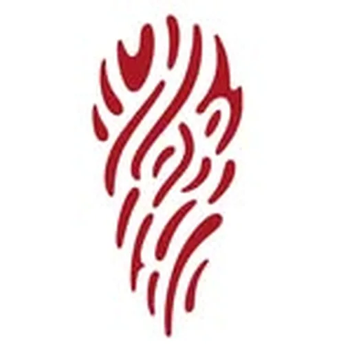 @rotoruanz profile image