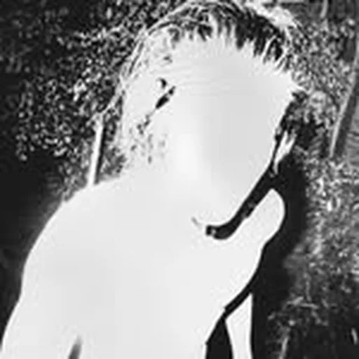 @rushwcarson profile image