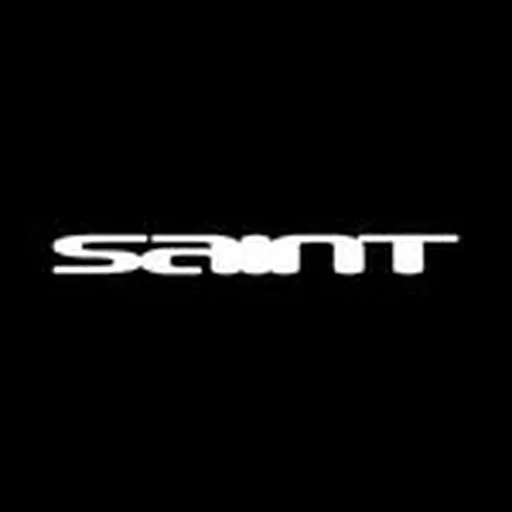 @saint profile image
