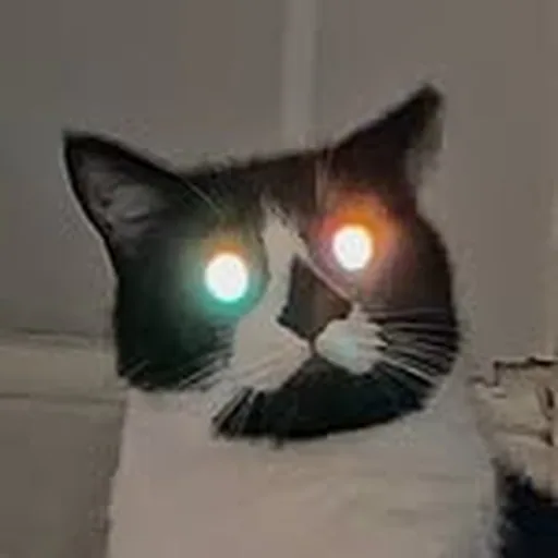 @scottdsemler profile image