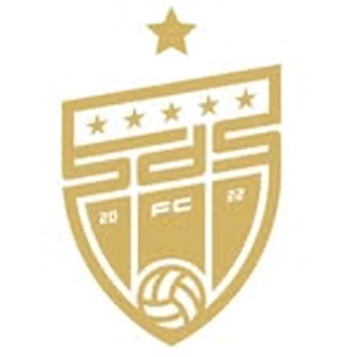 @sdsfc_ profile image