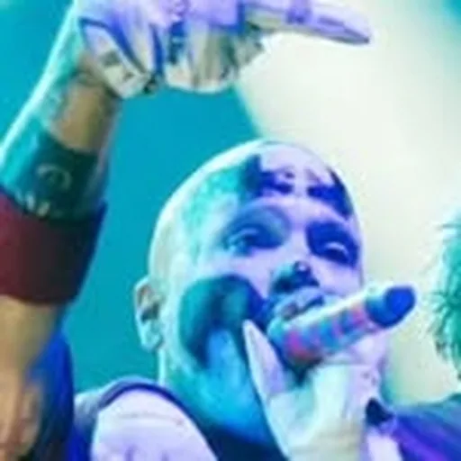 @shaggy.icp profile image