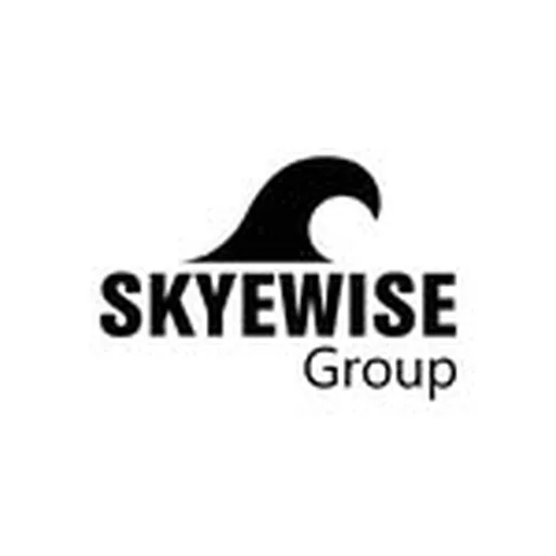@skyewise_group profile image