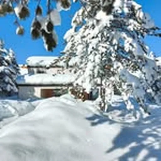 @snjeguljicablidinje profile image