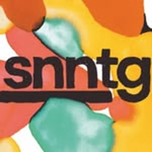 @snntg profile image