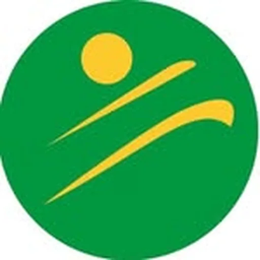 @sonafebrasil profile image