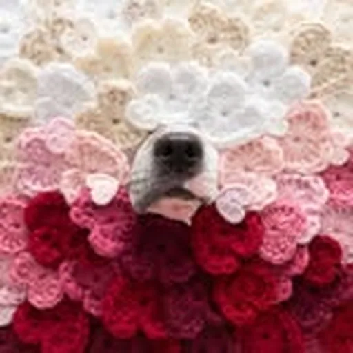 @sookieandivycrochet profile image