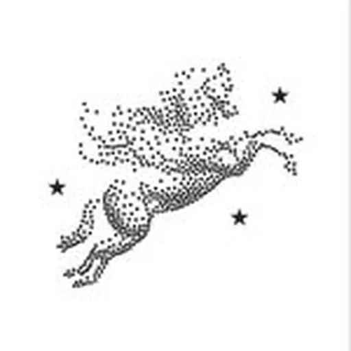 @spaziofonte profile image