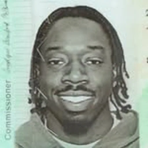 @steeez.o profile image