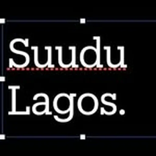 @suudulagos profile image