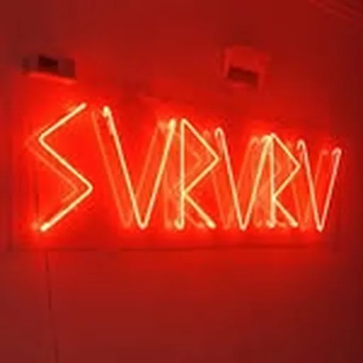@svrvrv_ profile image