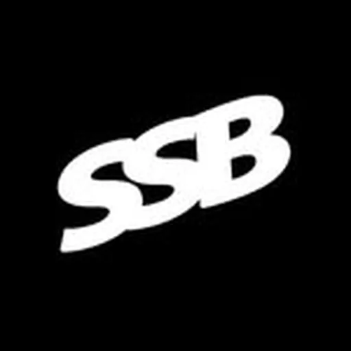 @team.ssb_ profile image