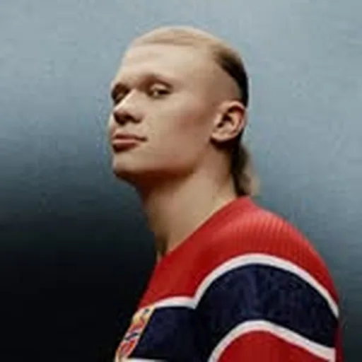 @teamhaaland profile image