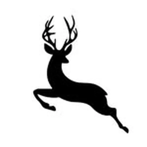@thelaststag_ profile image