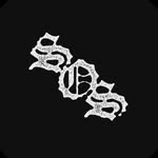 @thesonsofsunday profile image