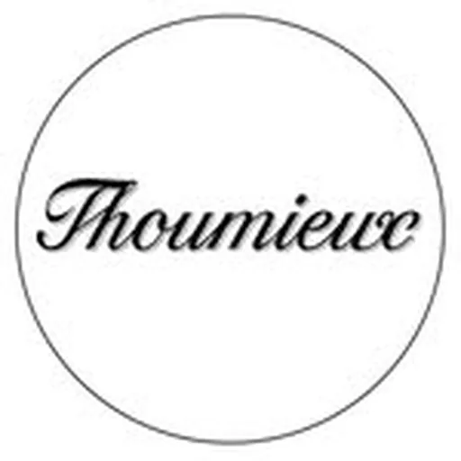 @thoumieuxparis profile image