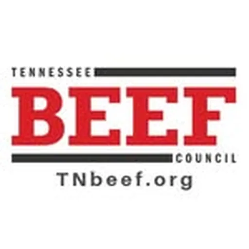 @tnbeef profile image