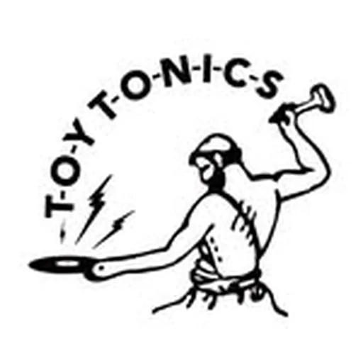 @toytonics profile image