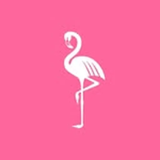 @tropicana_ibiza profile image