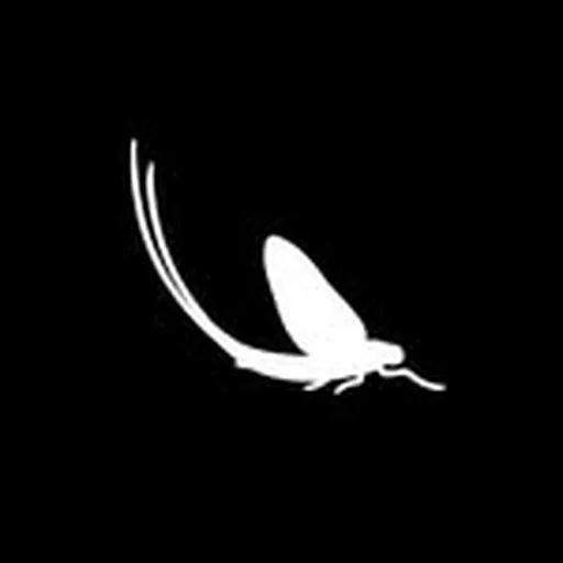 @troutandcoffee profile image