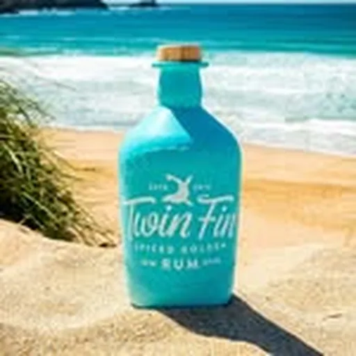 @twinfinrum profile image