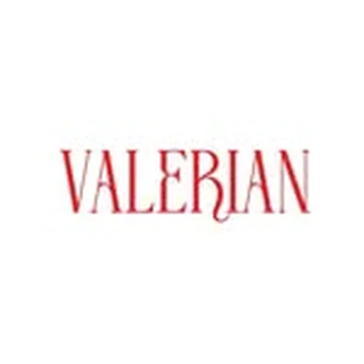 @valerian.egy profile image