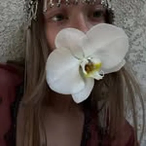 @vandalen profile image